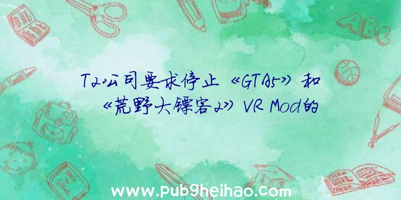 T2公司要求停止《GTA5》和《荒野大镖客2》VR